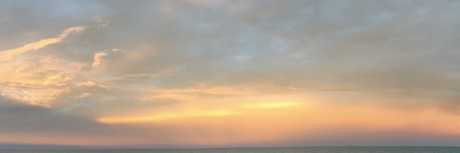 Cover image for post Baby Arrives, by helgaroeconklin