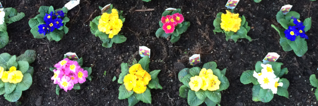 Cover image for post Thank you, thank you, thank you., by 03greedoluver