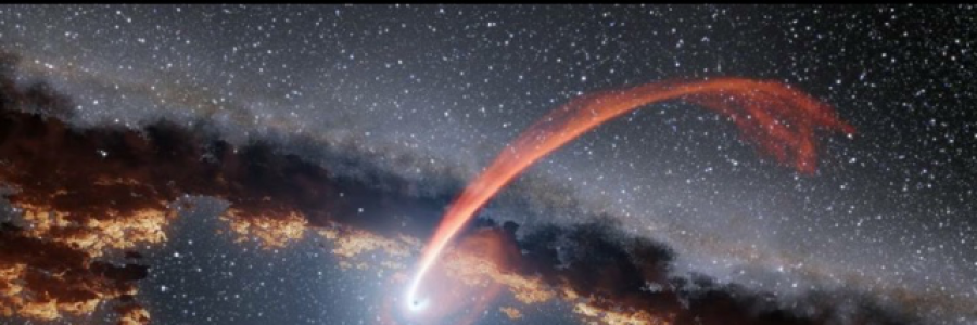 Cover image for post beauty, by Daprod245