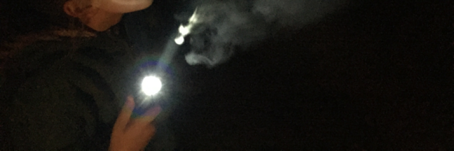 Cover image for post PSA, by Meduza