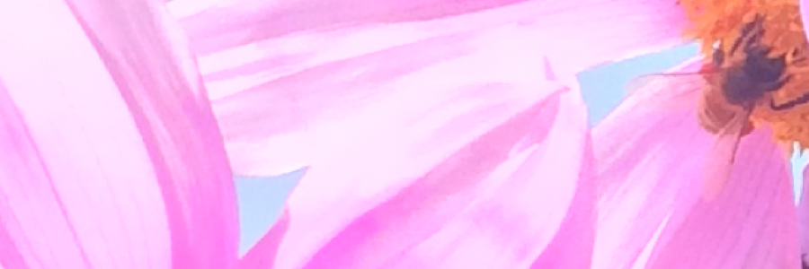 Cover image for post from woman to woman, by eversly