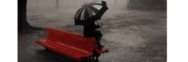 Cover image for post Betrayal, by Rachel