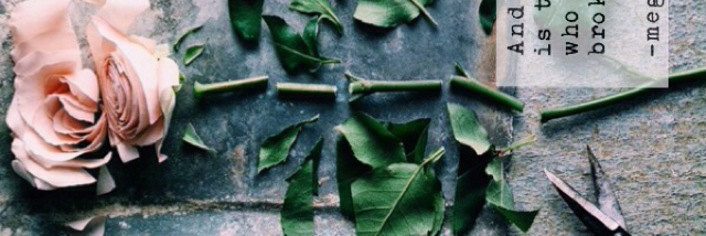 Cover image for post Is there?, by iamnxgrc