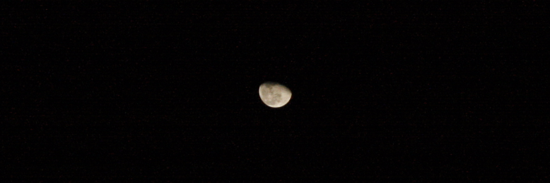 Cover image for post tired of sleeping, by lumalaya