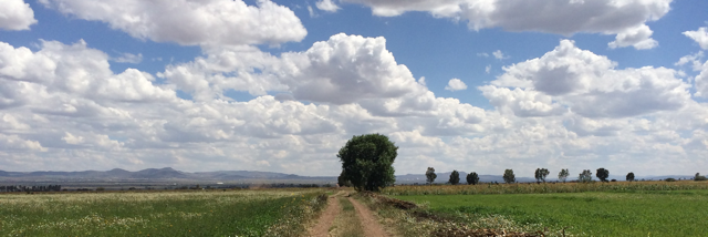 Cover image for post It's so near, it's so sweet, it's summer, by Karlacaldera