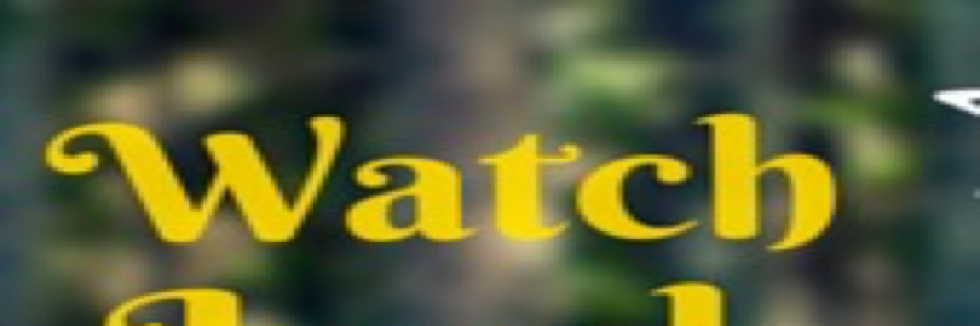 Cover image for post Transition continues, by Godzdiva