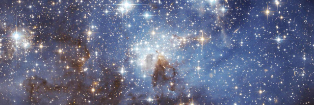 Cover image for post dead, by mtngirl