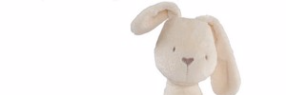 Cover image for post The Night of Rosie, by AmandaCary