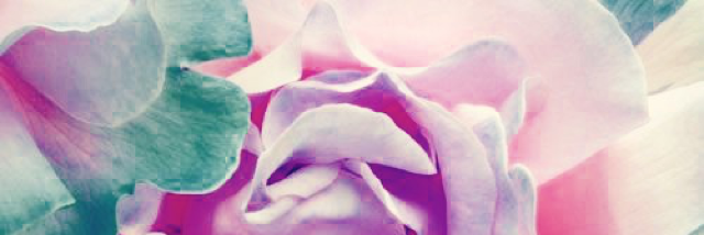 Cover image for post he was my first love and I never knew men weren't supposed to hurt you, by unspecific