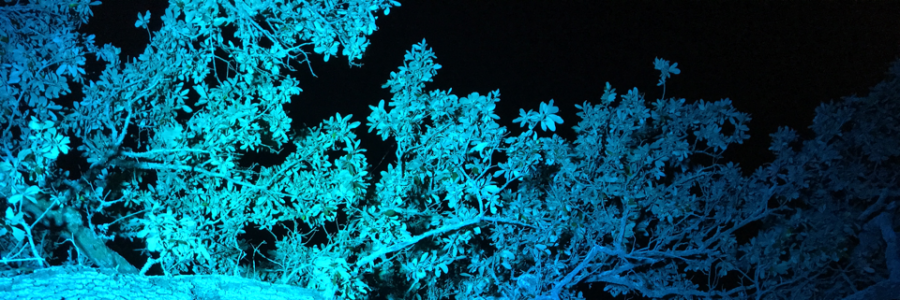 Cover image for post Untitled, by sparrow