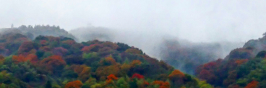 Cover image for post ふゆやすみ, by eversly