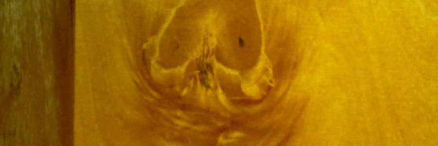 Cover image for post Scent, by Monthrox