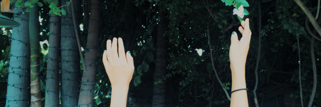 Cover image for post Untitled, by Karlacaldera