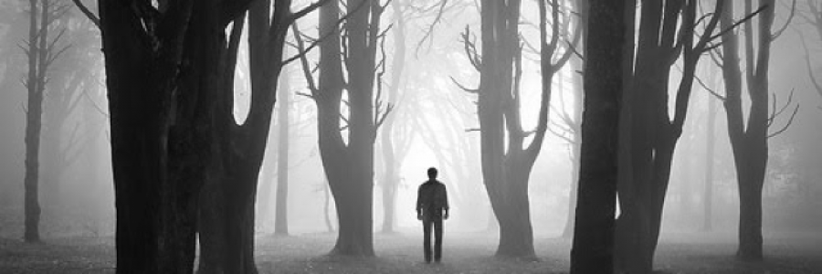 Cover image for post Man in the Wilderness - Styx, by FrankieBoy