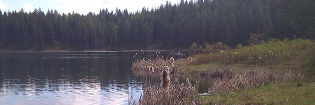 Cover image for post Being kid, by Simplisticlexi