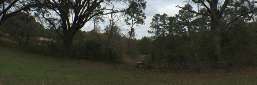 Cover image for post Run-on Sentances..., by Zoelise