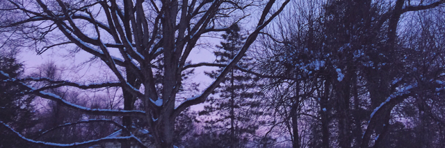 Cover image for post Hold onto that false spring, by lucieinthesky