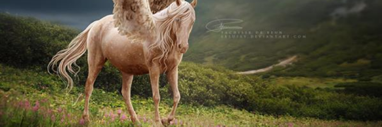 Cover image for post Majestic Wings, by Farwa