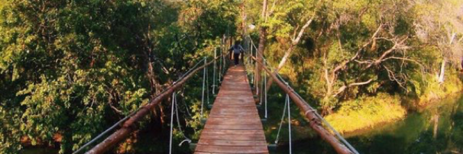 Cover image for post Sign Challenge: "Go For It", by noon2009