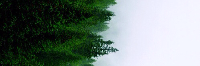 Cover image for post the three things I wish someone would tell me, by unspecific