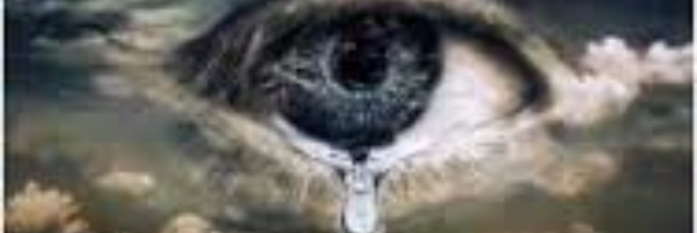 Cover image for post Unplug the Dike, by sandflea68