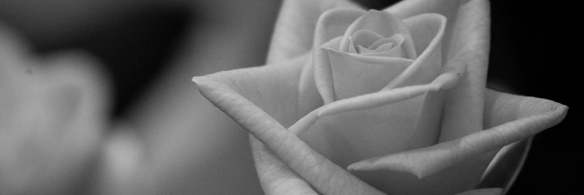 Cover image for post Colourless, by Schrieben_Wulf