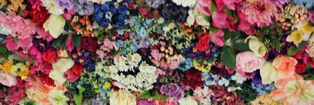 Cover image for post you must acknowledge the cobwebs in your head in order to clean your mind, by paintingskies