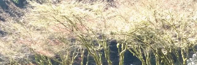 Cover image for post Trifecta, by JaimeMathis