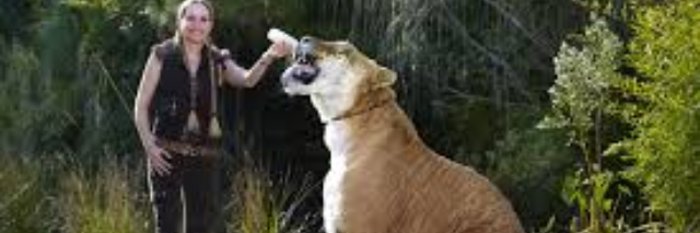 Cover image for post Untitled, by JaimeMathis