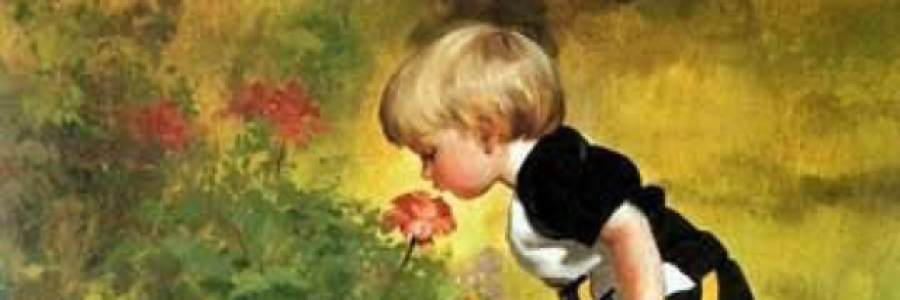 Cover image for post Children's ABCs, by JaimieDay