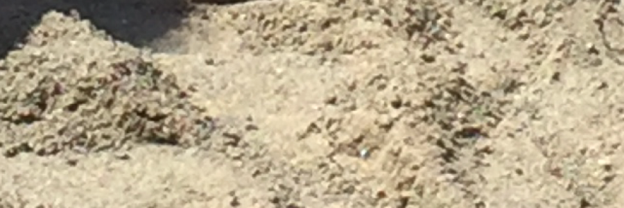 Cover image for post Walls, by Livelovelearn