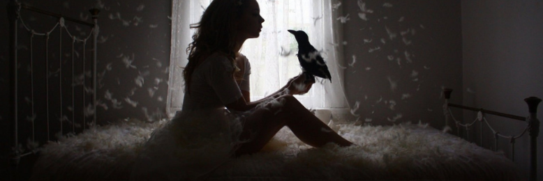 Cover image for post raven room, by zikeda