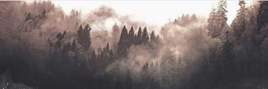 Cover image for post This bitter world , by Daprod245