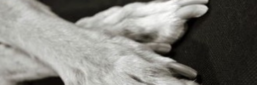 Cover image for post Taps, by JaimieDay