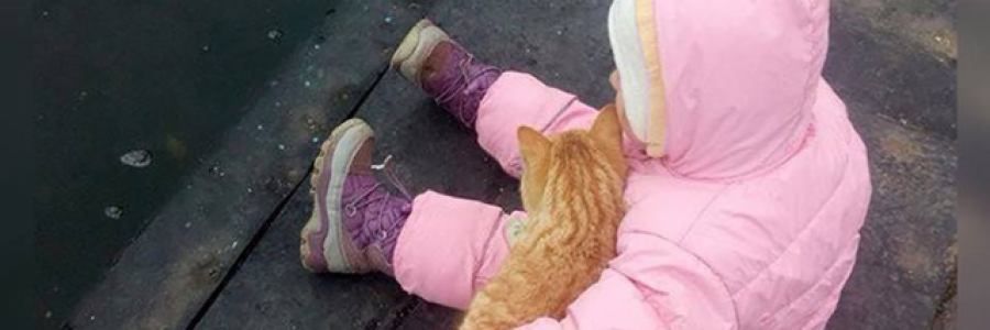 Cover image for post Untitled, by Taliesin