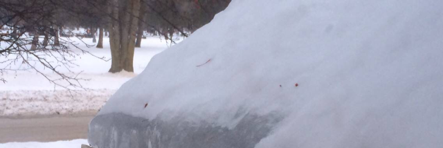 Cover image for post Cruel Mistress, by BetweenEpiphani