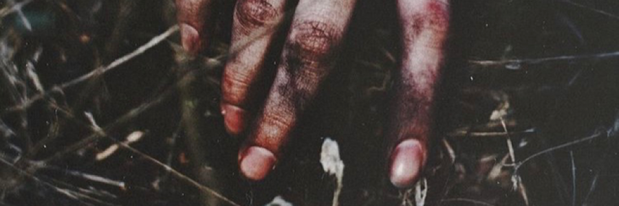 Cover image for post Down, by KatherineMartha