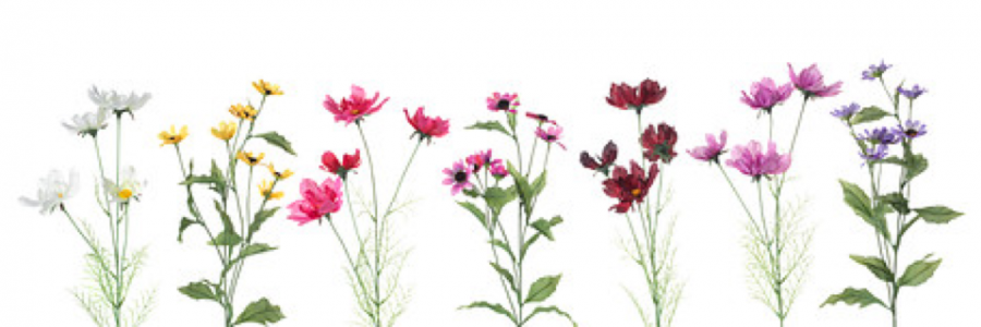 Cover image for post If Life Was a Garden Here's How to Grow it, by cpwrite