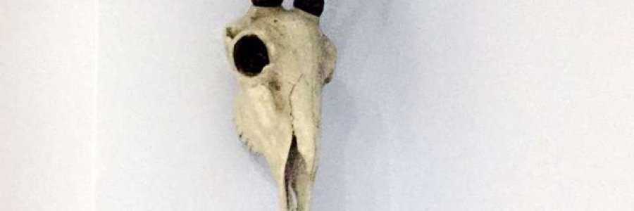 Cover image for post Reawakened, by Dilarawr