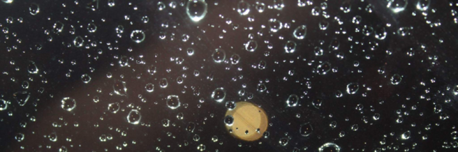 Cover image for post Happiness is a fickle thing, by LoganDonovan