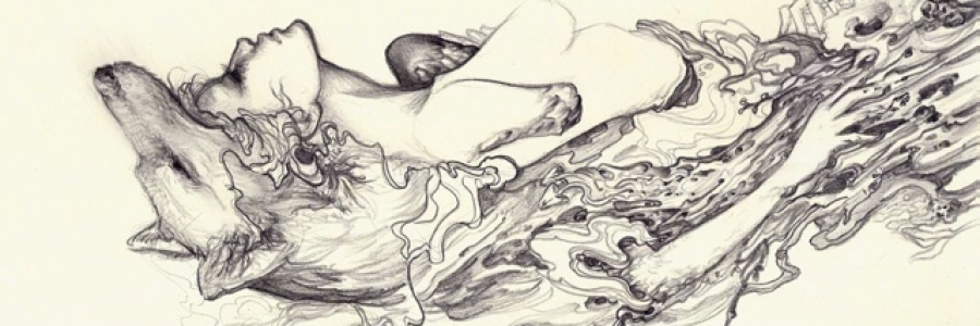 Cover image for post Stranger ....., by xlachrymose