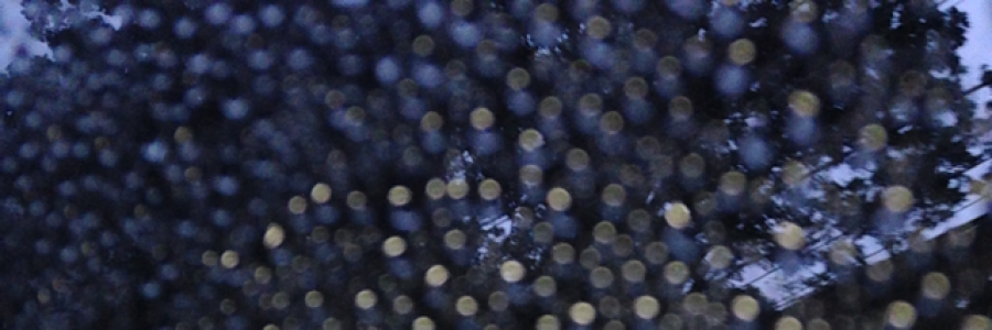 Cover image for post The Greatest Story Ever Told, by Dimasalang