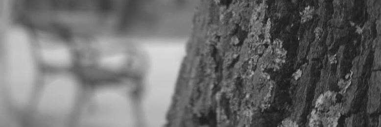 Cover image for post "Didn't Your Mama Ever Tell You?", by AmandaCary