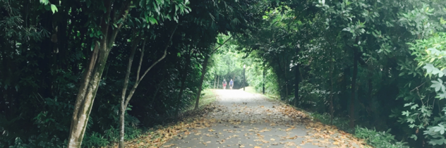 Cover image for post Those were the days, by mockingdre