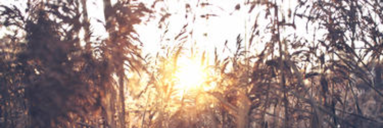 Cover image for post Accepting Our Eternity, by BrianLandon