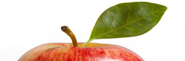 Cover image for post Language, by TZ