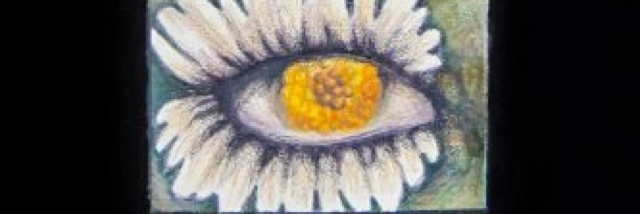 Cover image for post 'For if you did my life would follow, by Lynn