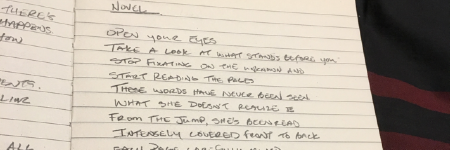 Cover image for post Novel., by Oui_write