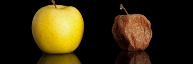 Cover image for post To the universe, karma, God, who or what ever the f*ck it is which runs our lives!, by EriduSerpent