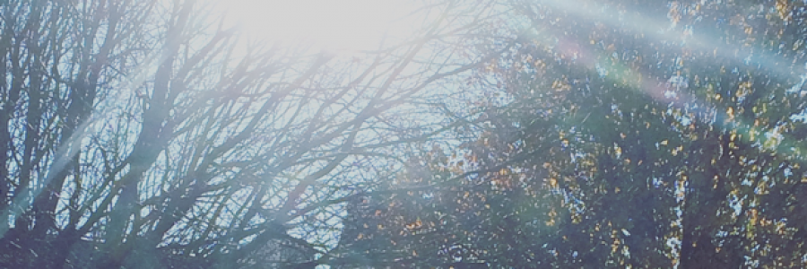 Cover image for post Untitled, by Rev_Frenchie